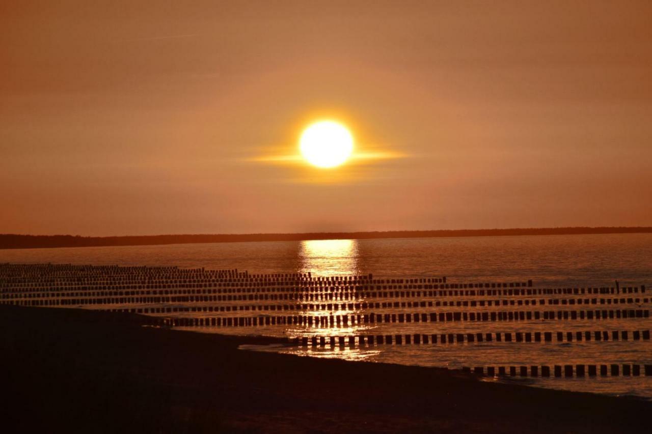Chalet Zingst Dış mekan fotoğraf